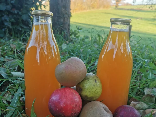 Jus de pomme bio avec des variétés anciennes de la Ferme du Bost à Royères