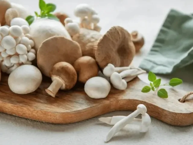 Cours De Cuisine Champignons 