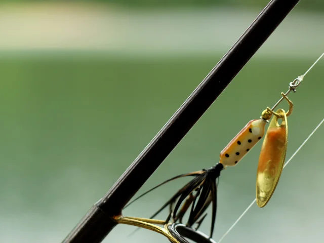 Lure Fishing Technique Limousin