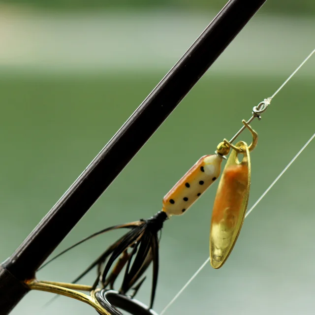 Technique De Peche Au Leurre Limousin