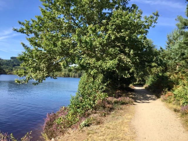 Le Sentier De Rives Du Lac De Vassiviere En Limousin