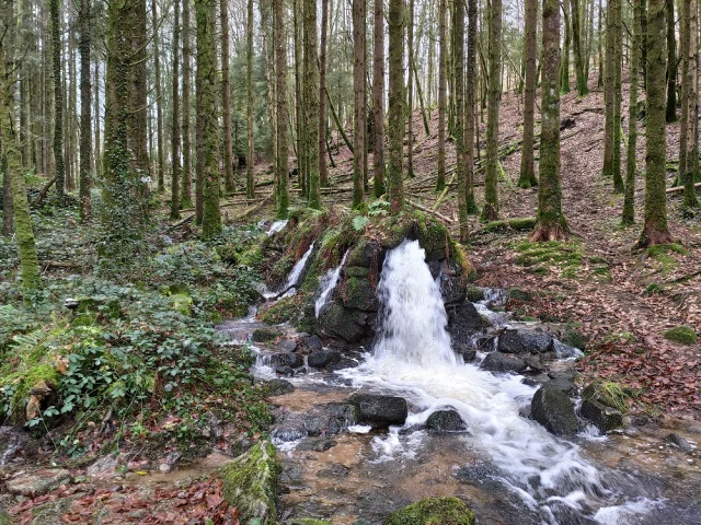 Le Ruisseau des Moulins à Peyrat le Château