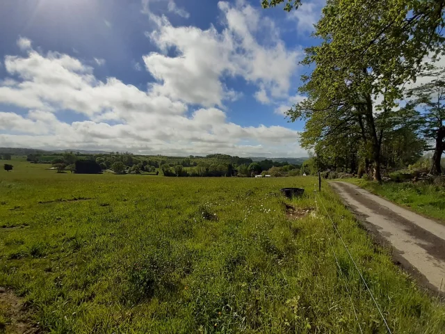 Chemin De Campagne