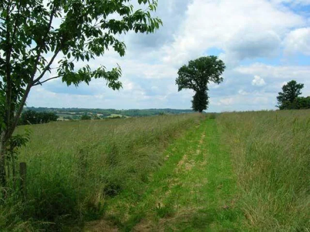 Circuit Du Puy De Grammont à St Méard