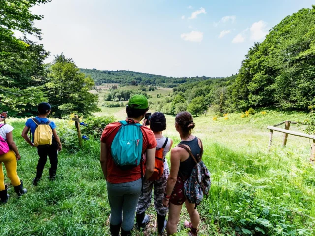 Hiking at La Tourbiere Des Dauges