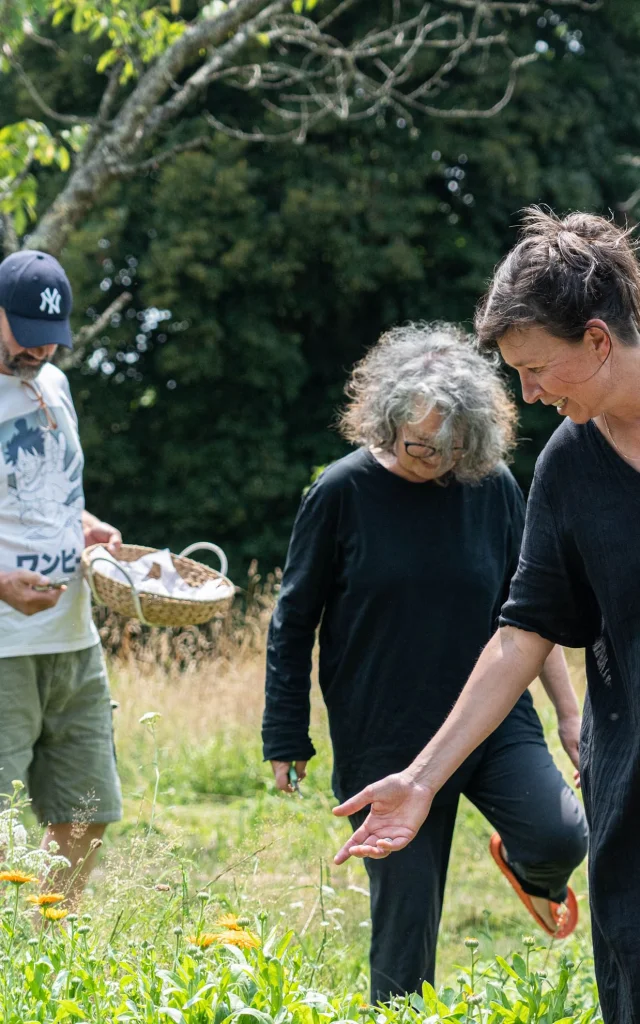 Atelier d'extraction d'indigo avec l'artiste peintre Isabelle Collett